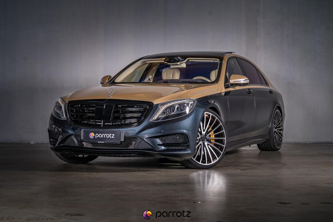 parrotz vehicle