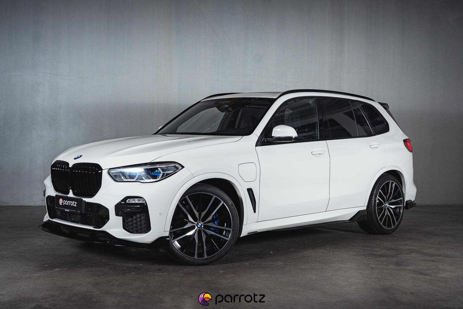 parrotz vehicle